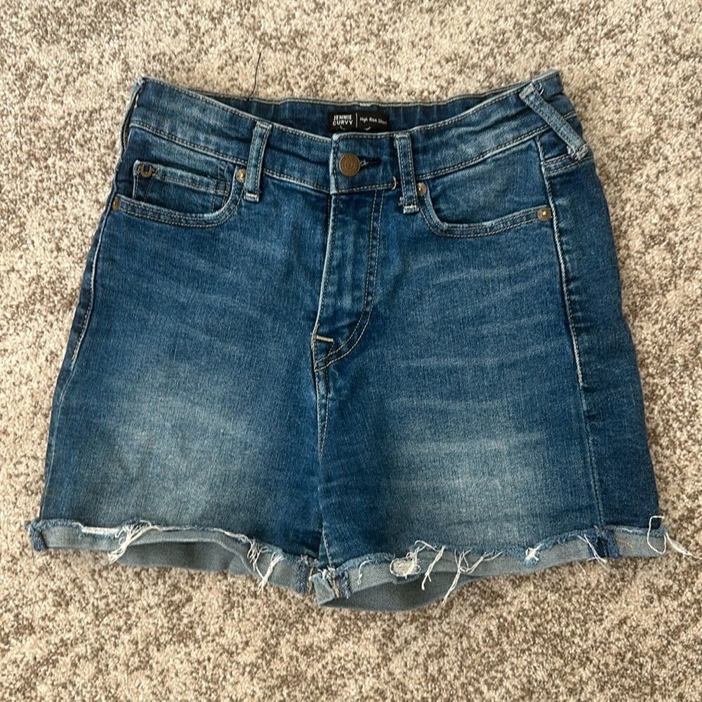 True Religion Denim Jenny Curvy Short 28